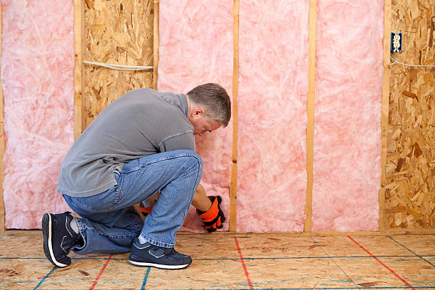 Best Local Insulation Services  in USA